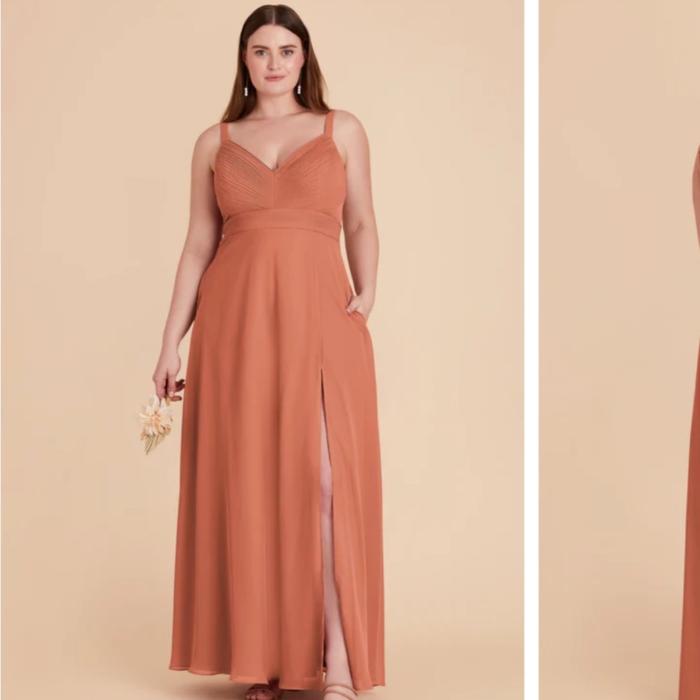 Birdy Grey Deborah Chiffon dress ~ Terracotta